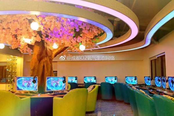 武汉黄浦路品味佳选,这5家餐厅不可错过(武汉黄浦路美食)